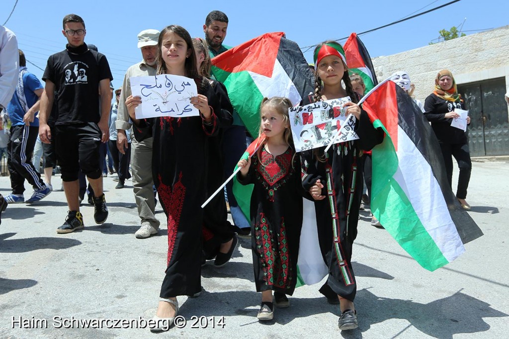 Nabi Saleh 30/05/2014 | IMG_2978