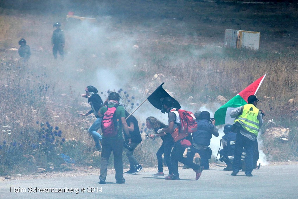 Nabi Saleh 06/06/2014 | IMG_2306