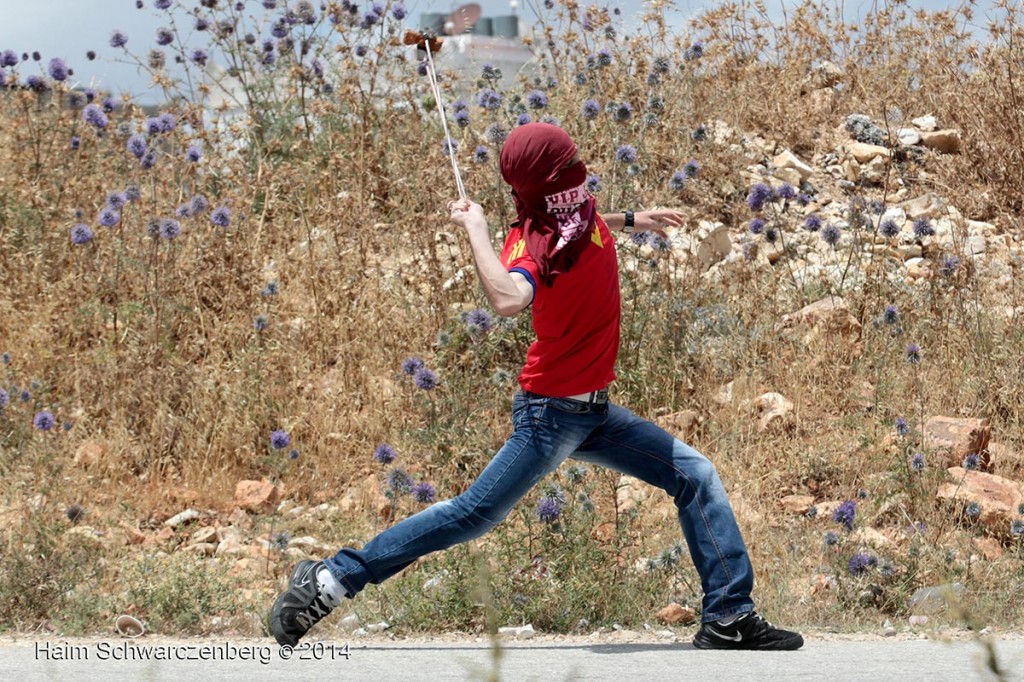 Nabi Saleh 06/06/2014 | IMG_2327