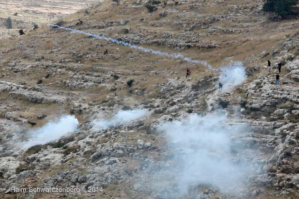 Nabi Saleh 06/06/2014 | IMG_2385