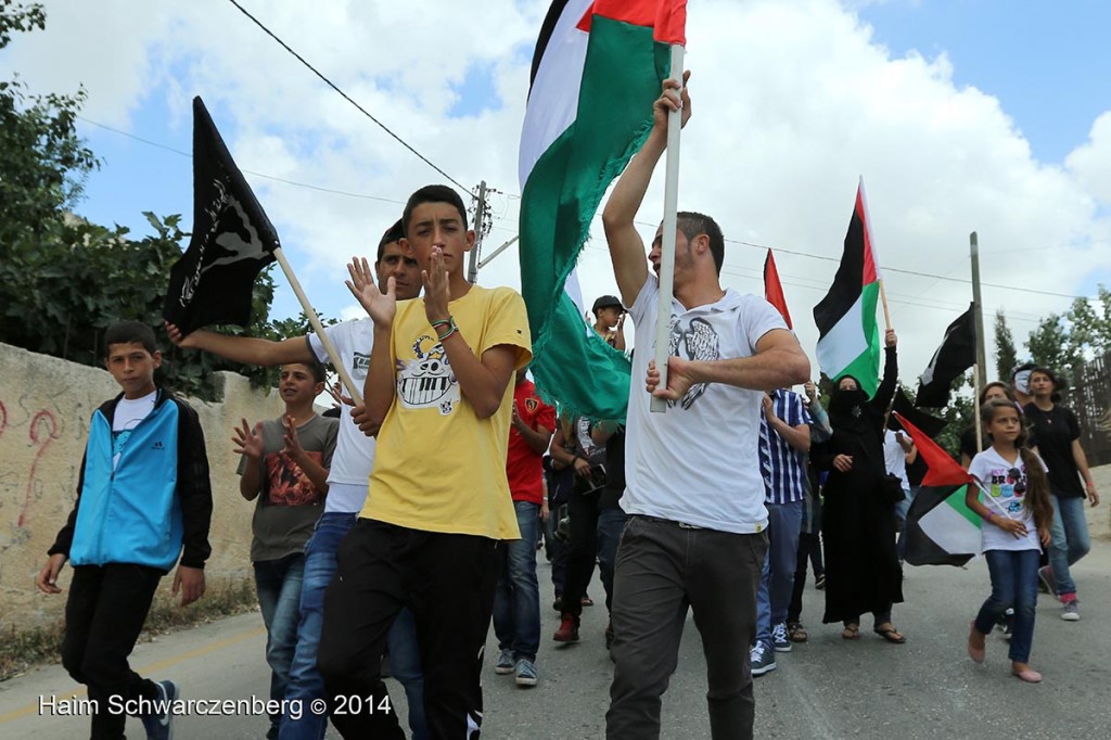 Nabi Saleh 06/06/2014 | IMG_3728