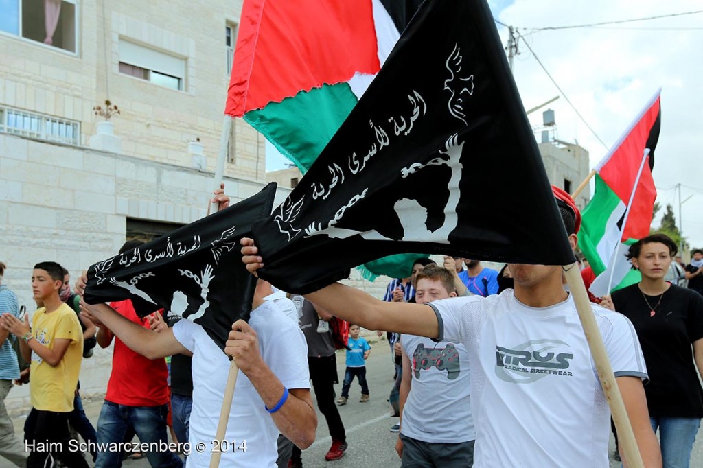 Nabi Saleh 06/06/2014 | IMG_3741