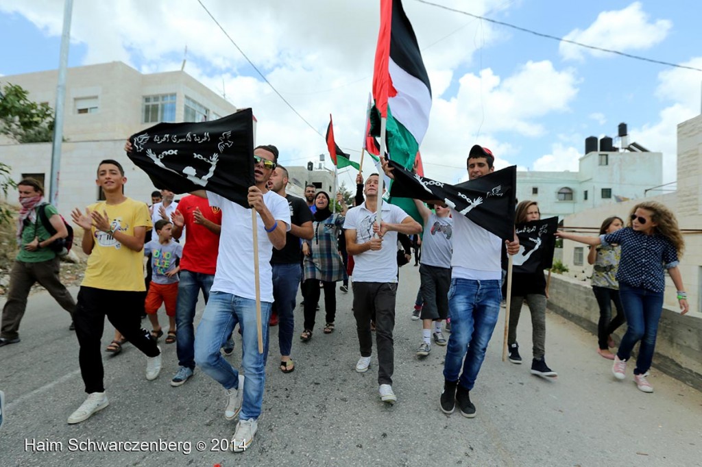 Nabi Saleh 06/06/2014 | IMG_3752