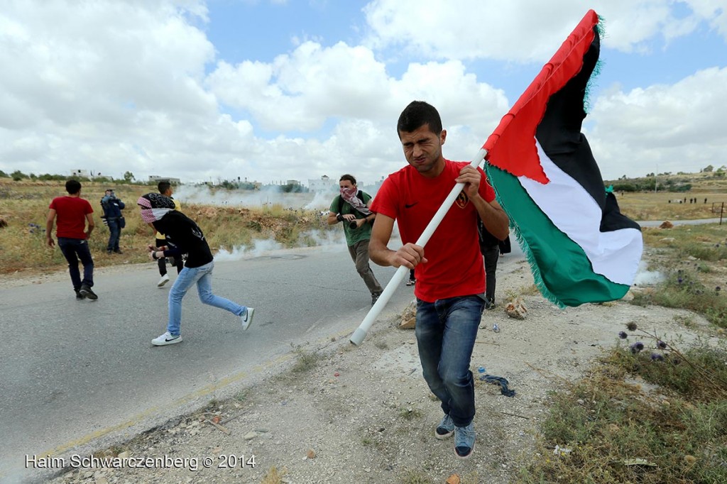 Nabi Saleh 06/06/2014 | IMG_3804