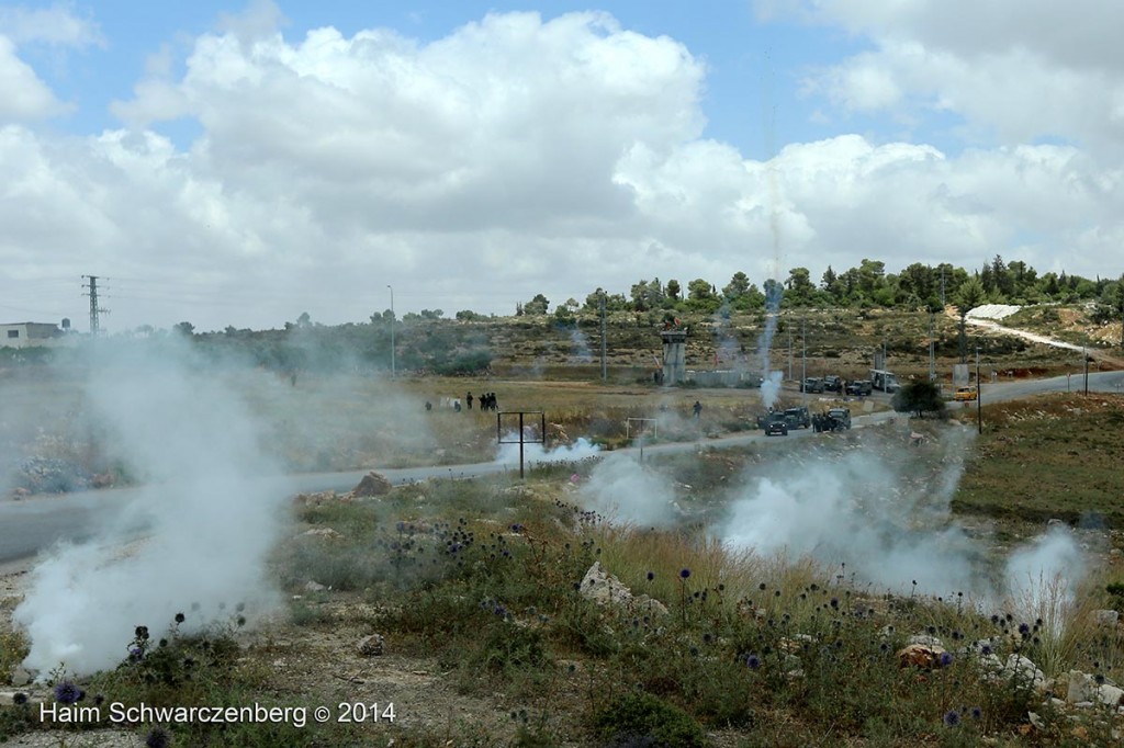 Nabi Saleh 06/06/2014 | IMG_3808