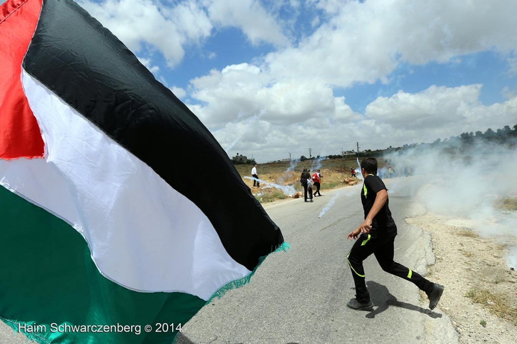 Nabi Saleh 06/06/2014 | IMG_3845