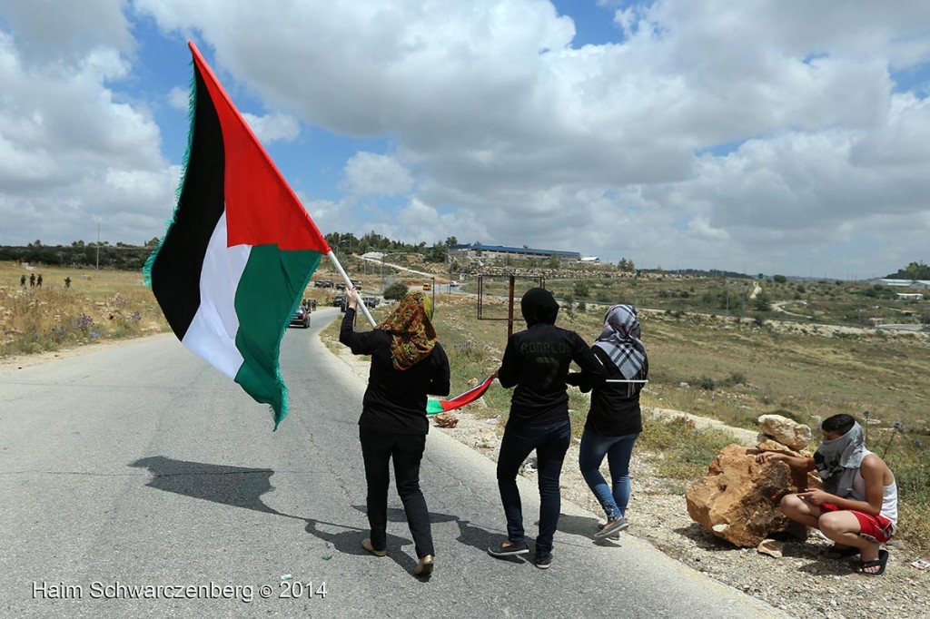 Nabi Saleh 06/06/2014 | IMG_3891