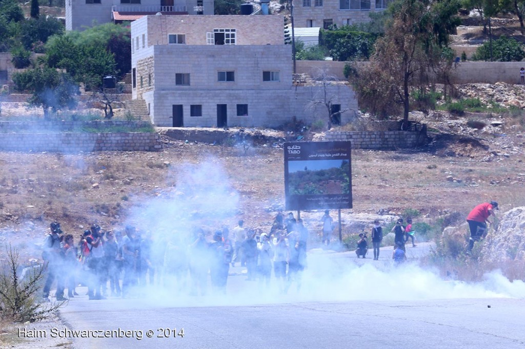 NNabi Saleh 27/06/2014 | IMG_8138