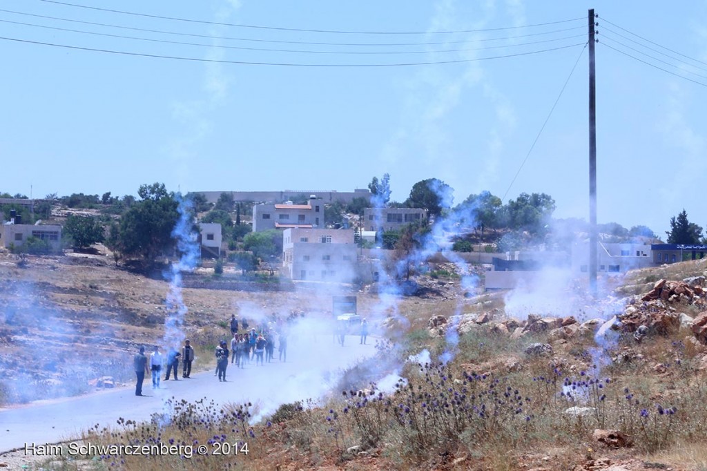 Nabi Saleh 27/06/2014 | IMG_8176