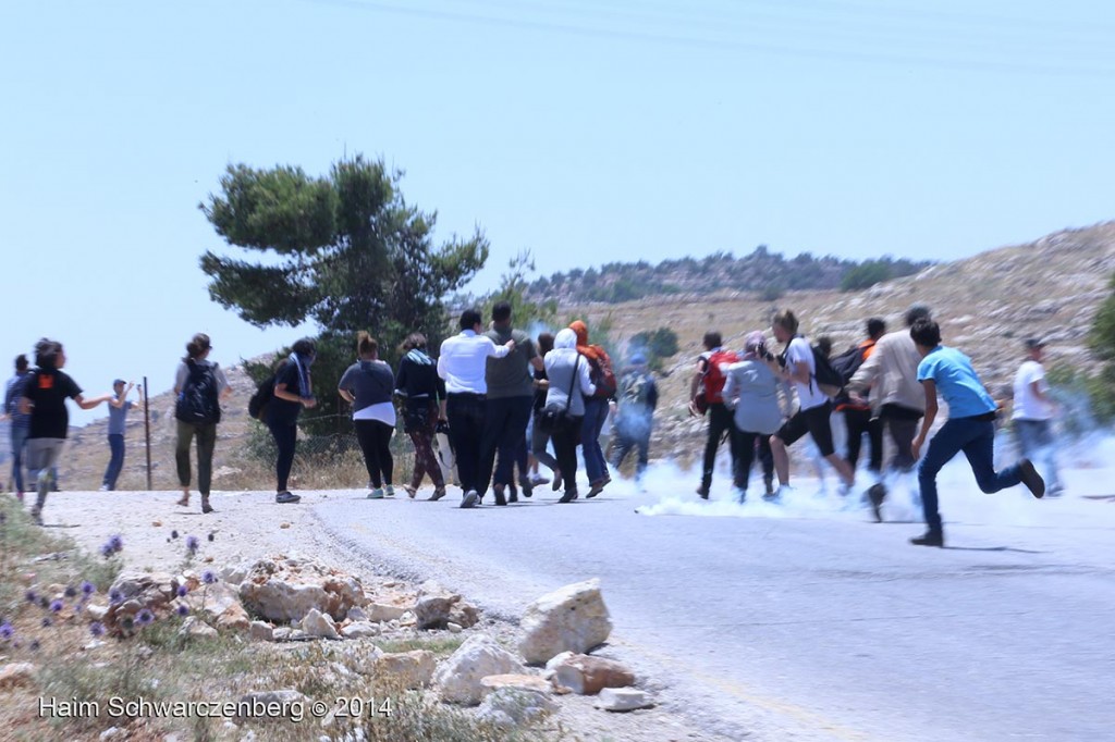 NNabi Saleh 27/06/2014 | IMG_8209