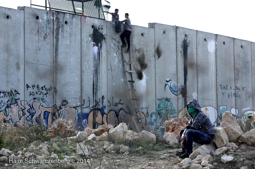 On 2 Jerusalem: Direct actions challenging the wall | IMG_0182