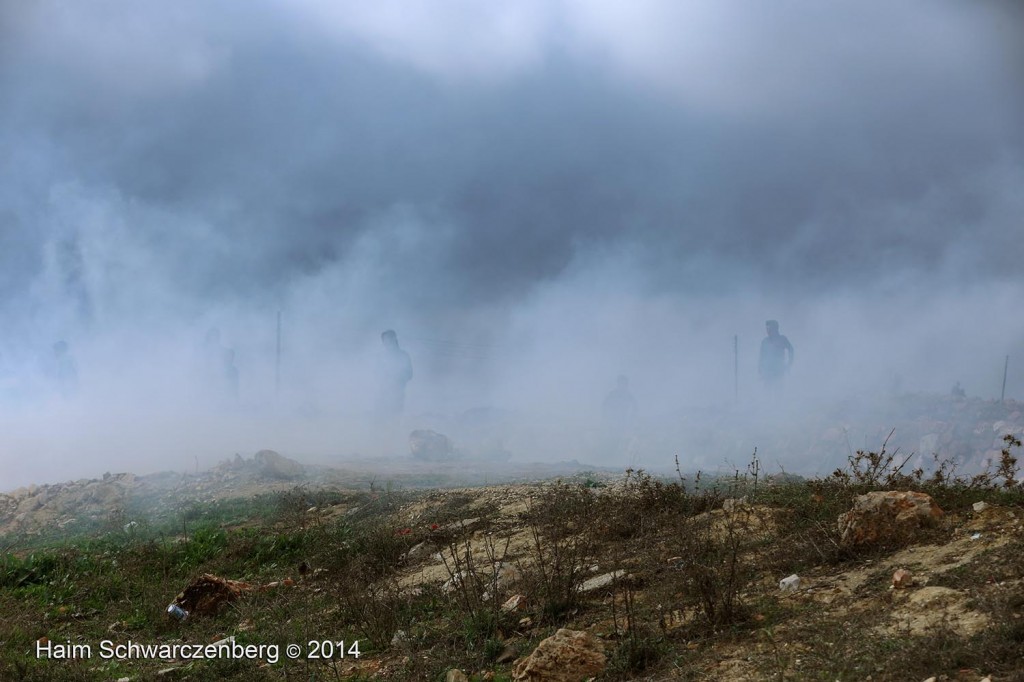 Nabi Saleh 21/11/2014 | IMG_0970