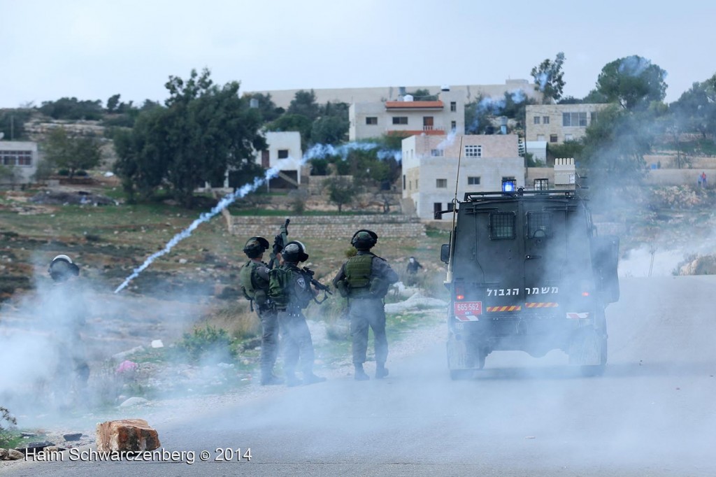 Nabi Saleh 21/11/2014 | IMG_1186