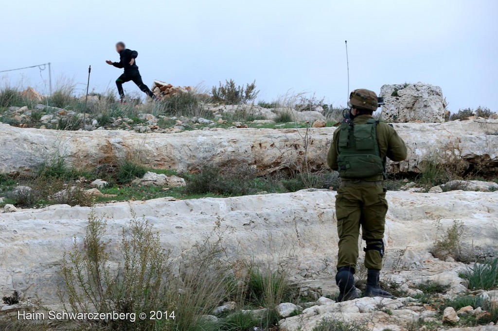 Nabi Saleh 21/11/2014 | IMG_1593