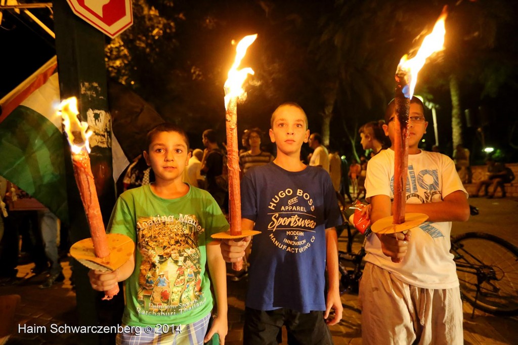 Demonstration against the ongoing Massacre in Gaza | IMG_1927