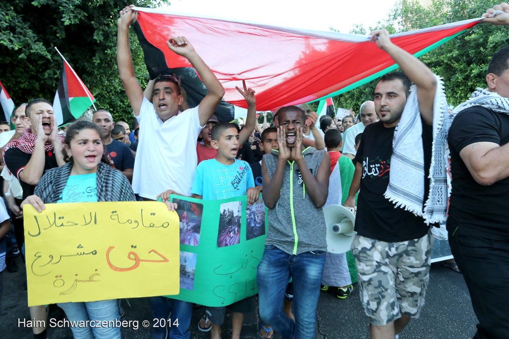 Rally against the ongoing massacre in Gaza, al-Lydd | IMG_3633