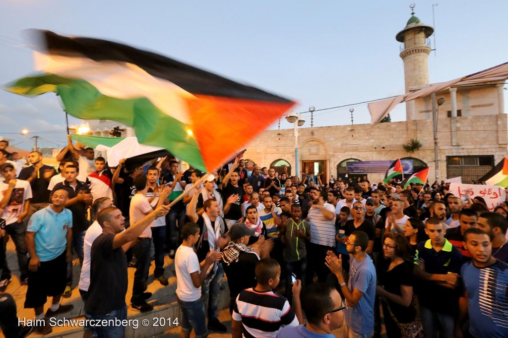 Rally against the ongoing massacre in Gaza, al-Lydd | IMG_3920