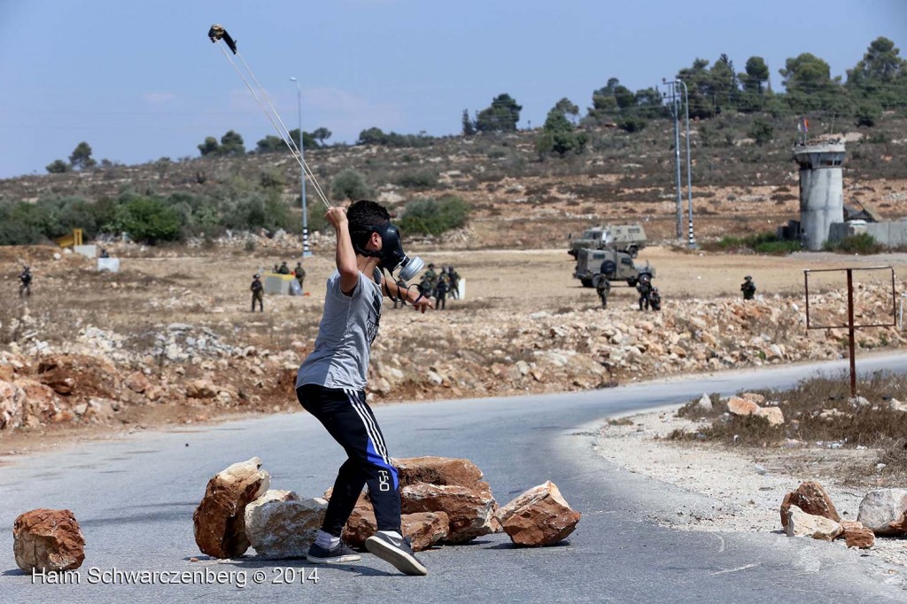 Nabi Saleh 31/10/2014 | IMG_7150