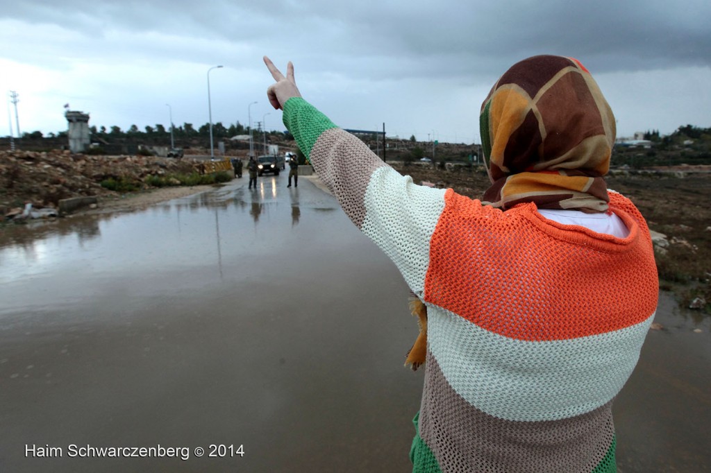 Nabi Saleh 31/10/2014 | IMG_7939