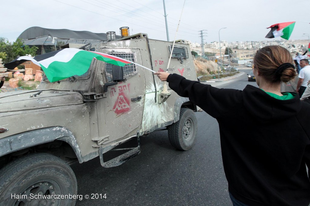 On 2 Jerusalem: Direct actions challenging the wall | IMG_8447