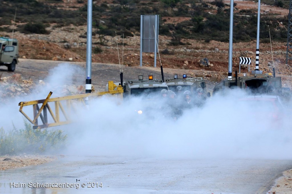 Nabi Saleh 31/10/2014 | IMG_8544