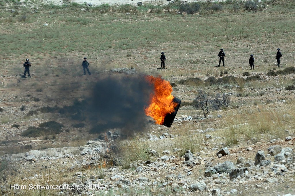 Nabi Saleh 11/07/2014 | IMG_9689