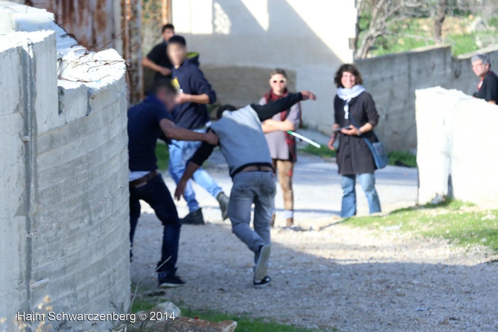 Nabi Saleh 05/12/2014 | IMG_2518