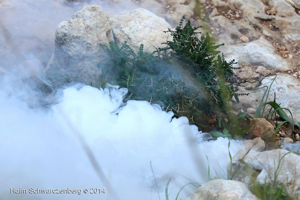 Nabi Saleh 19/12/2014 | IMG_3605