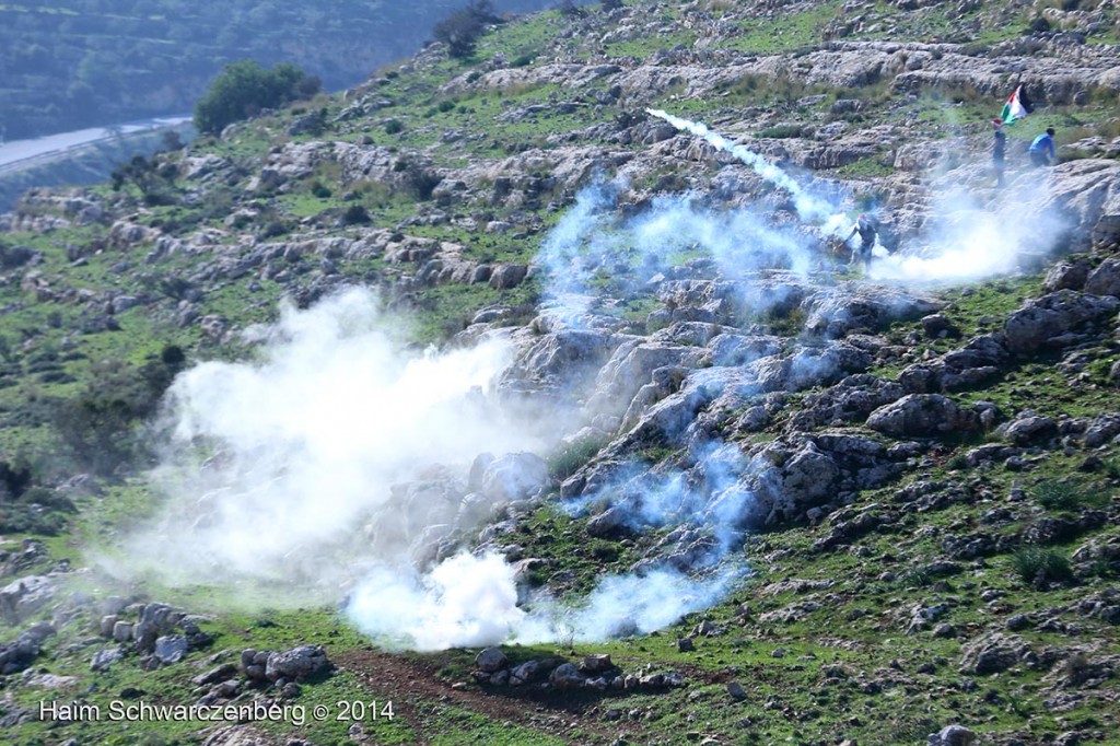 Nabi Saleh 26/12/2014 | IMG_4652