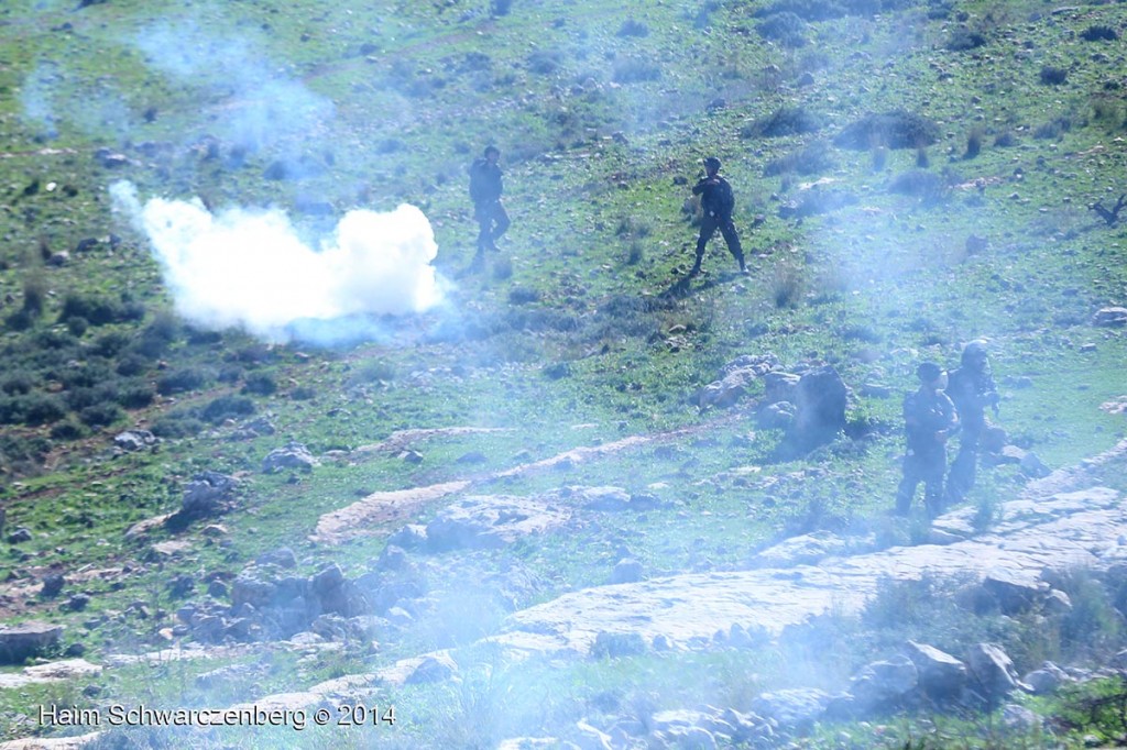 Nabi Saleh 26/12/2014 | IMG_4698