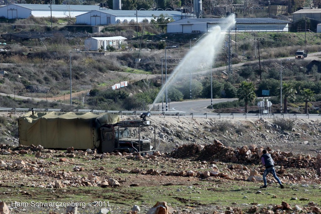 Nabi Saleh 11/12/2011 | IMG_8386