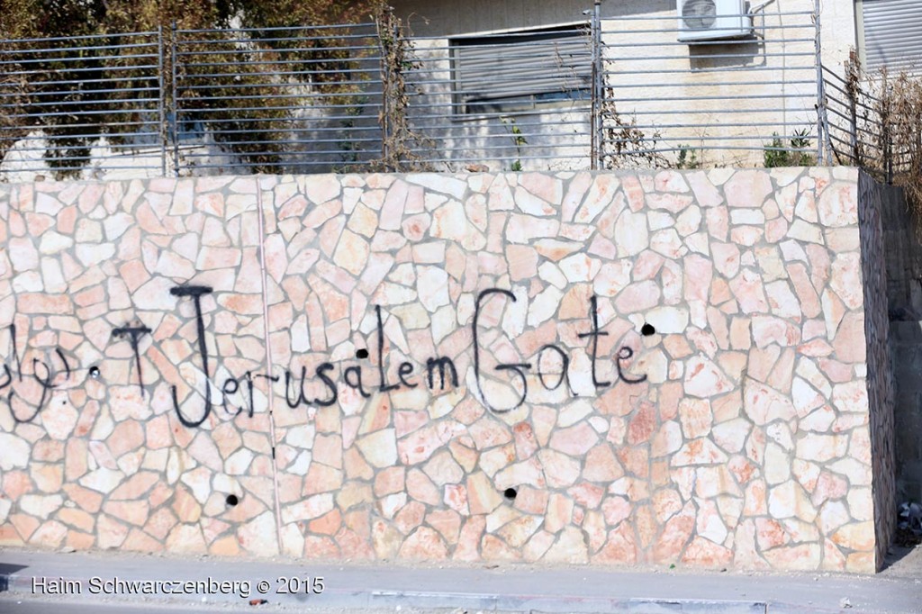 Election day protest in Abu Dis 17/03/2015 | IMG_6287