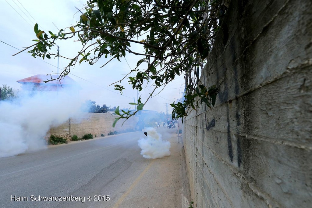 Land Day march in Nabi Saleh 28/03/2015 | IMG_7511