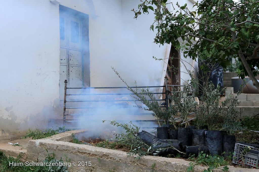 Land Day march in Nabi Saleh 28/03/2015 | IMG_7531