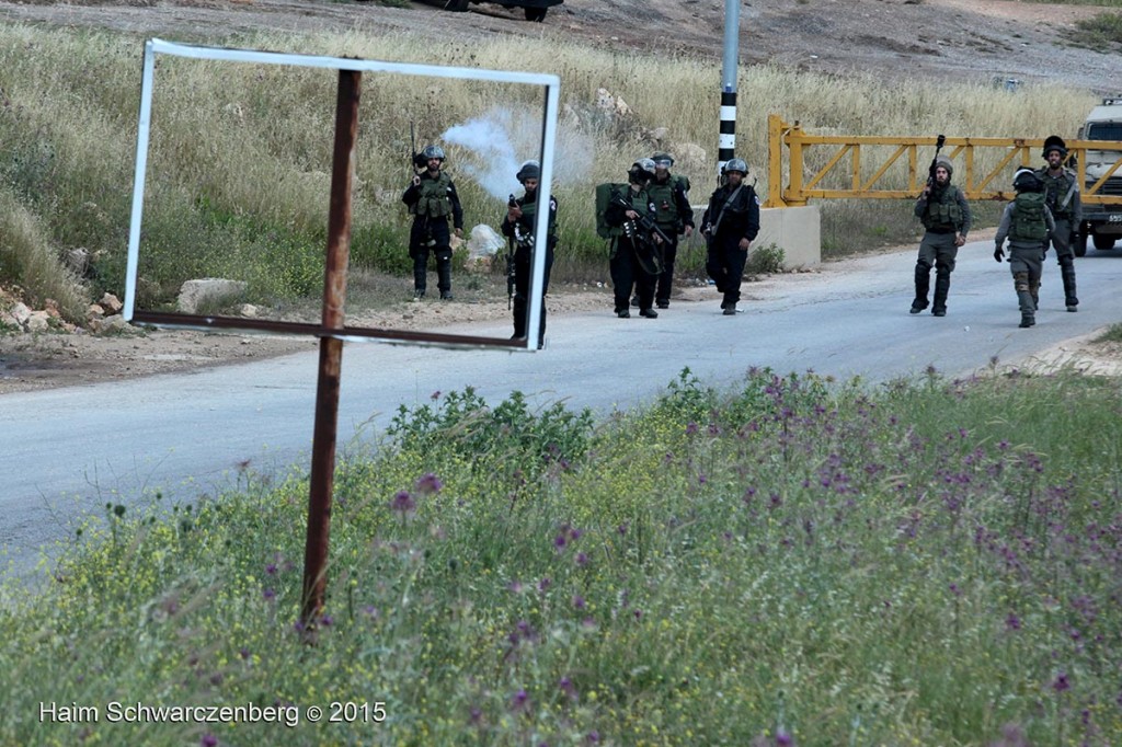 Nabi Saleh 25/04/2015 | IMG_4289