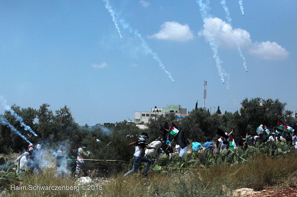 Nakba Day, Ni'lin 15/05/2015 | IMG_5650