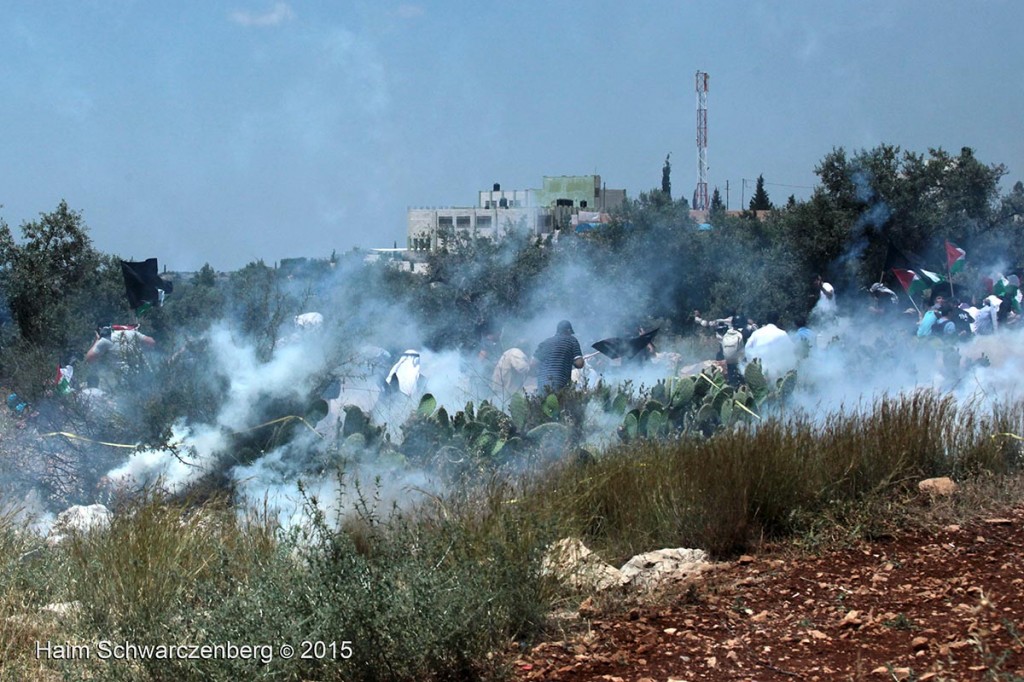 Nakba Day, Ni'lin 15/05/2015 | IMG_5653