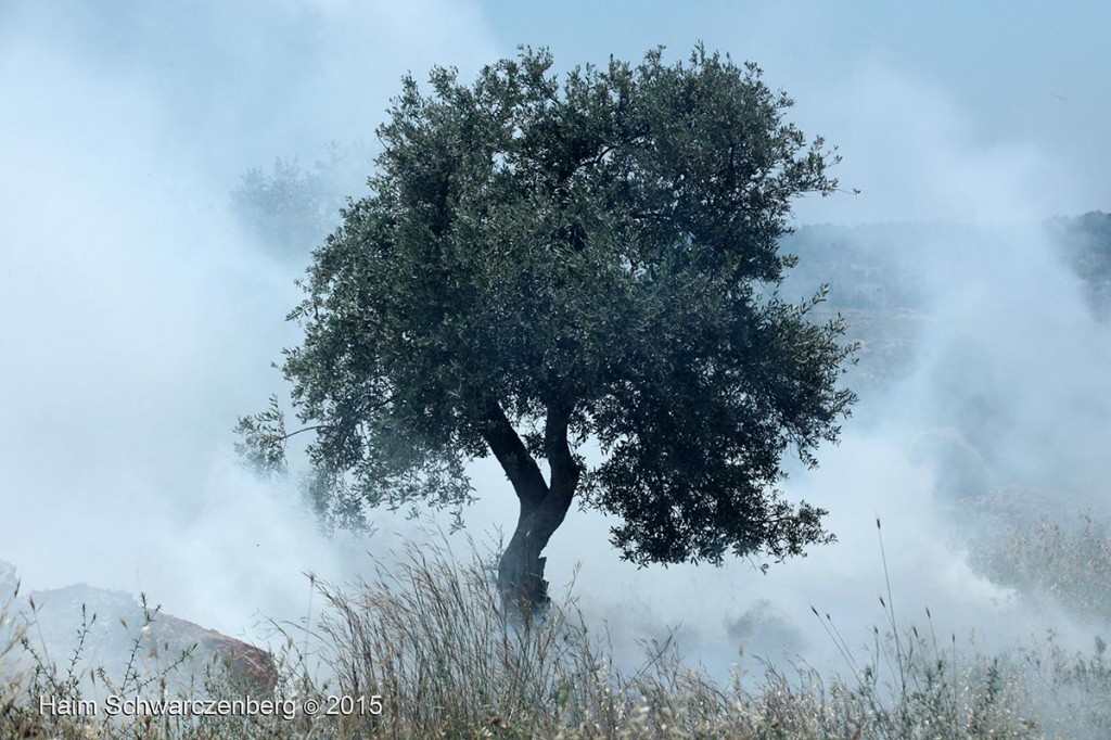 Nakba Day, Ni'lin 15/05/2015 | IMG_5822