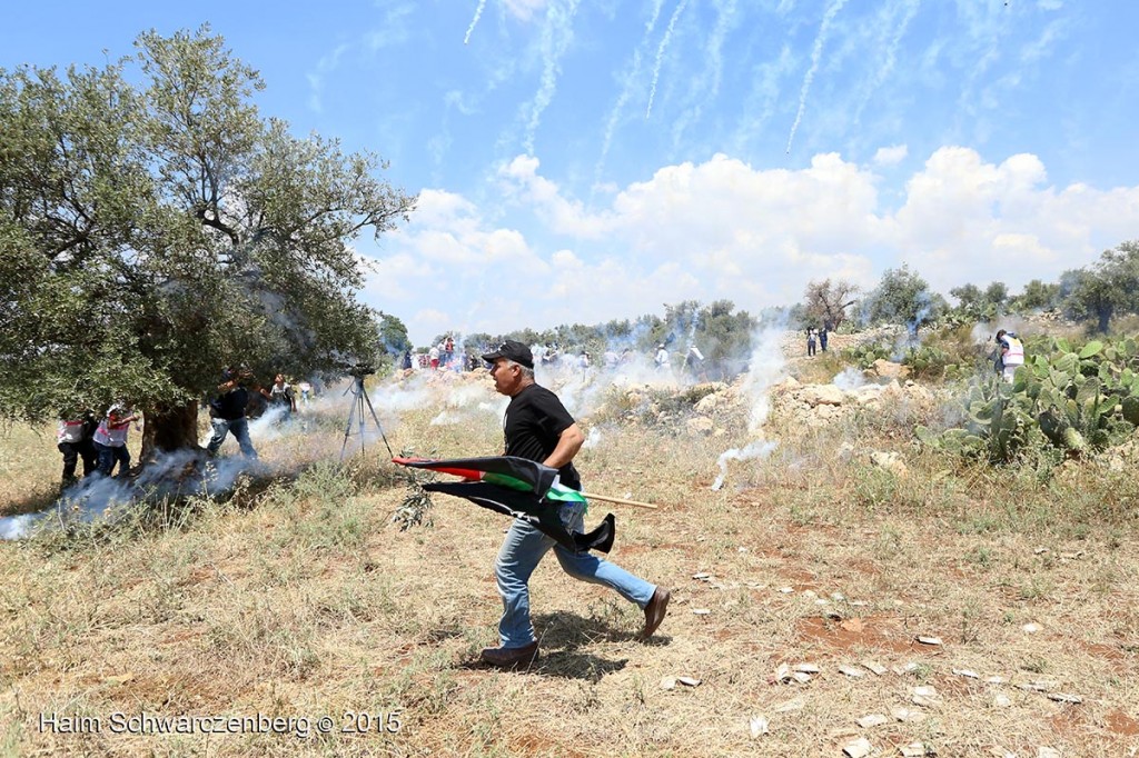 Nakba Day, Ni'lin 15/05/2015 | IMG_6780