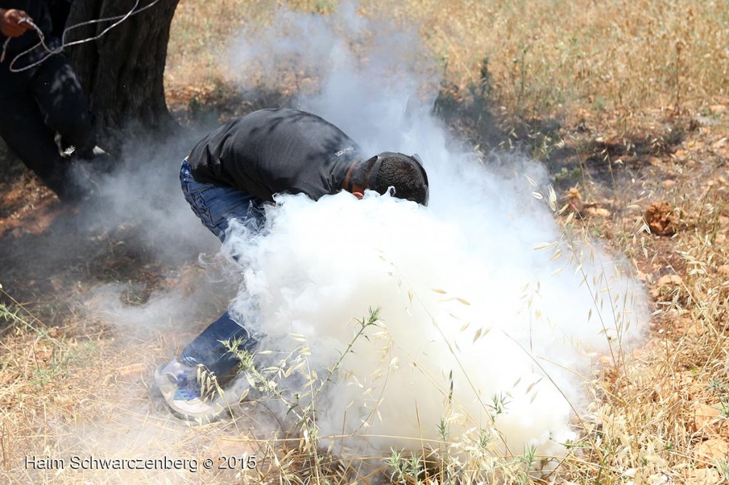 Nakba Day, Ni'lin 15/05/2015 | IMG_6798