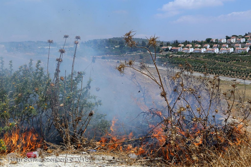 Nabi Saleh 26/06/2015 | IMG_4087