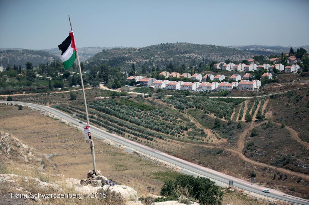 Nabi Saleh 19/06/2015 | IMG_7874