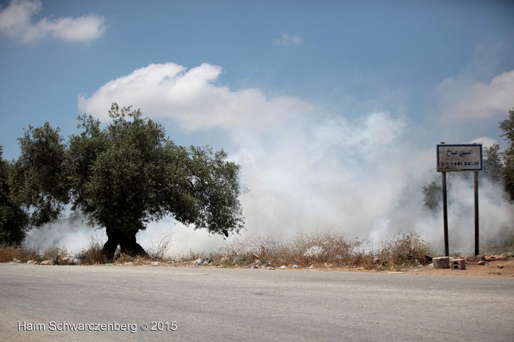 Nabi Saleh 19/06/2015 | IMG_7904