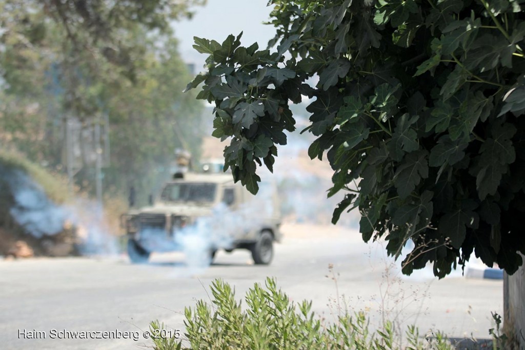 Nabi Saleh 19/06/2015 | IMG_7920