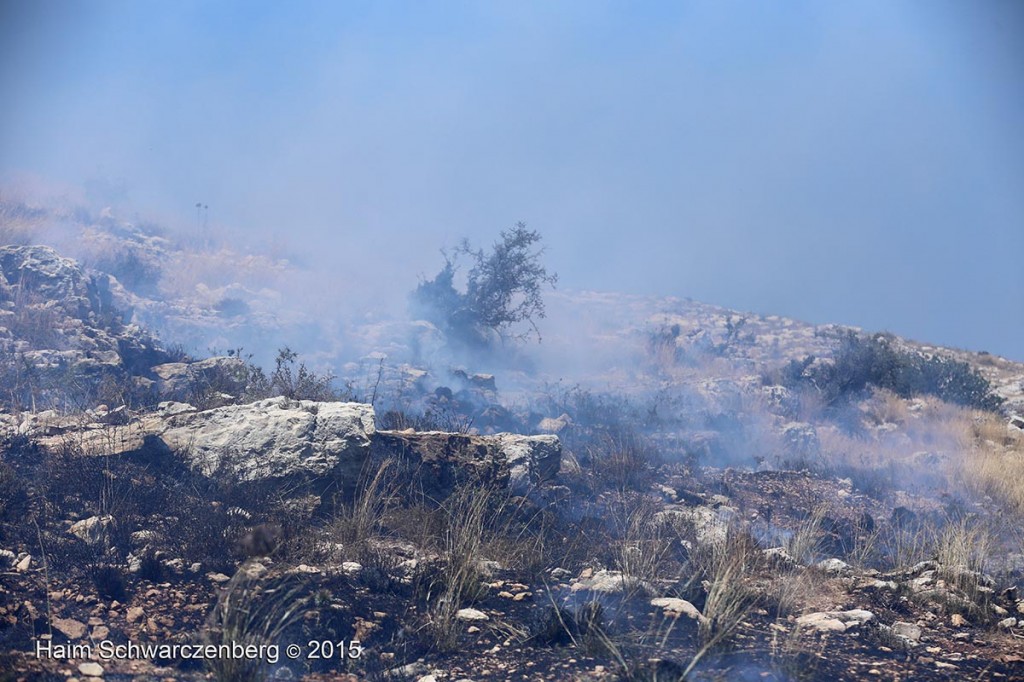 Nabi Saleh 03/07/2015 | IMG_4871