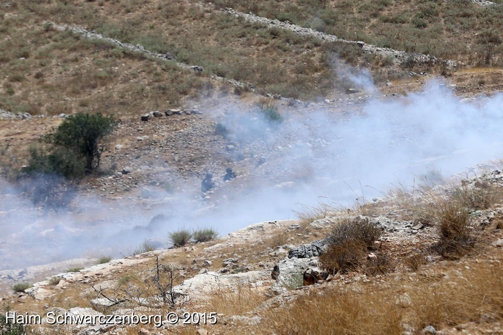 Nabi Saleh 31/07/2015 | IMG_7716