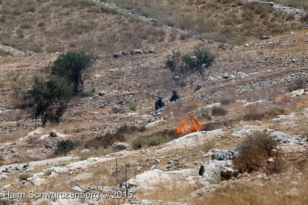 Nabi Saleh 31/07/2015 | IMG_7728