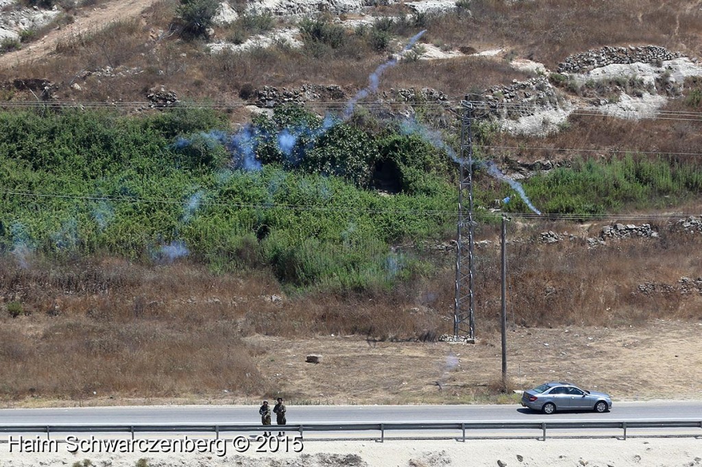 Nabi Saleh 31/07/2015 | IMG_7733