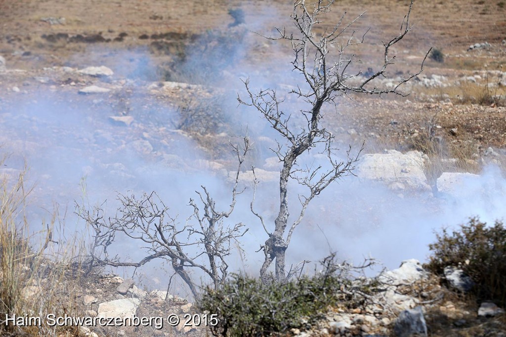 Nabi Saleh 31/07/2015 | IMG_7878