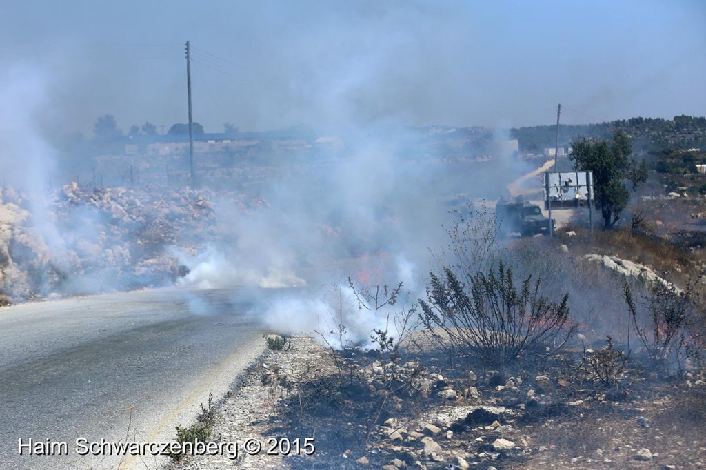 Nabi Saleh 21/08/2015 | IMG_1399